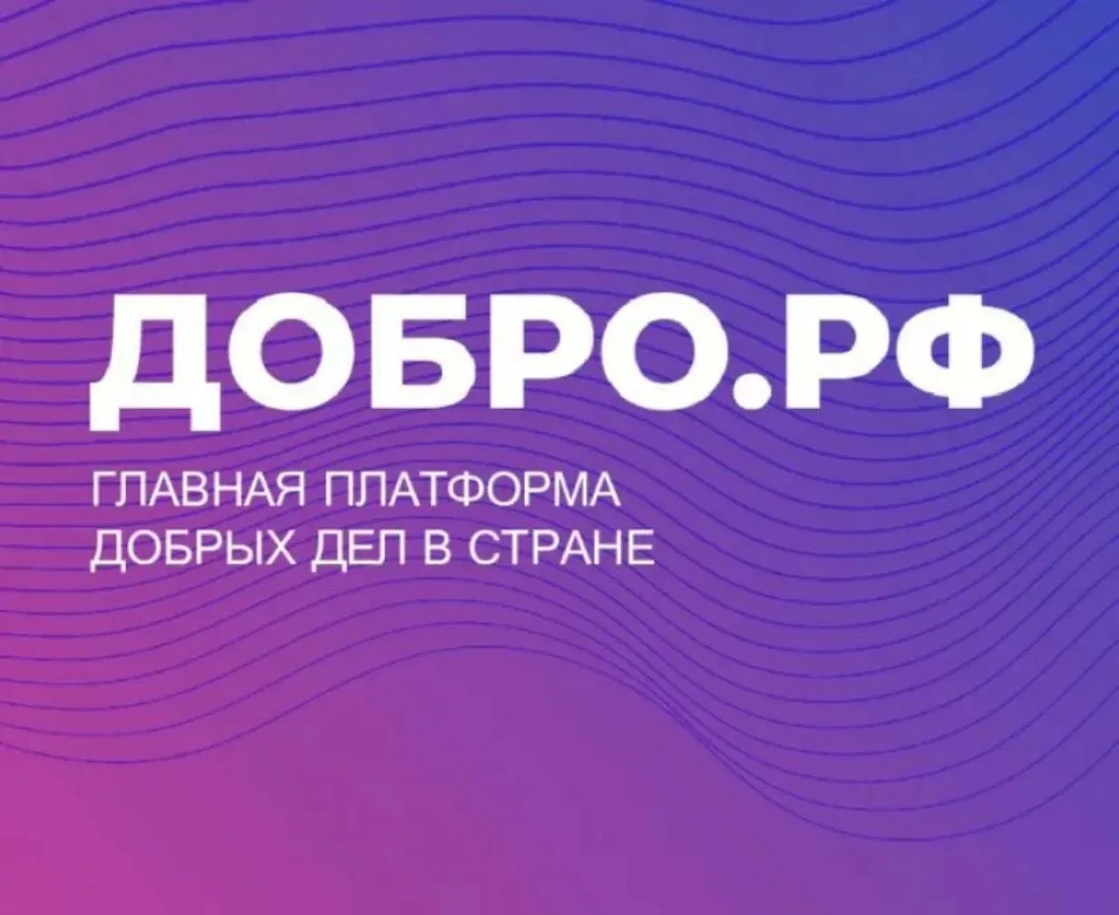 Платформе Добро.рф.
